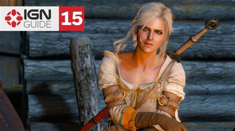 The Witcher 3 Wild Hunt: Family Matters .